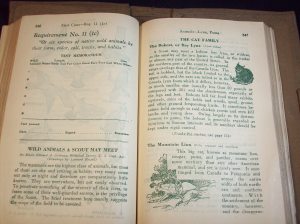 1933 boy scout handbook 024